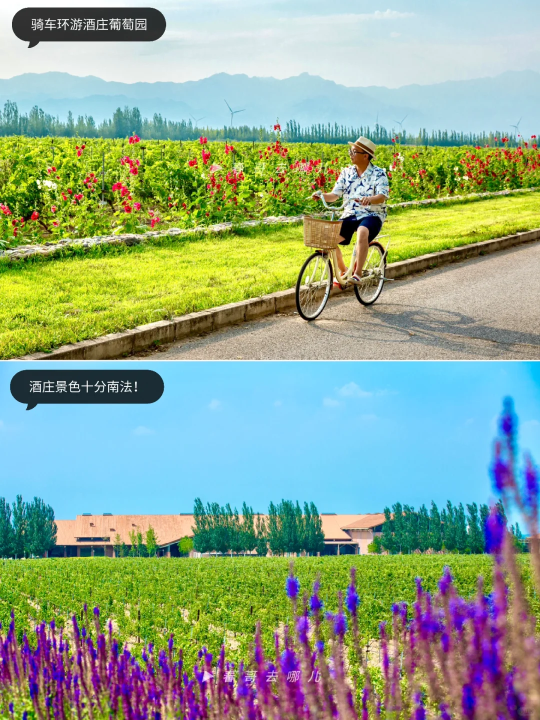 不是南法！高铁半小时的京郊酒庄游太可以了