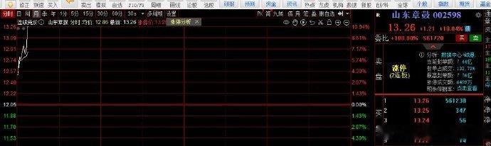 山东章鼓涨停，开盘拉升跟随一笔，板上加仓一笔，恭喜跟上粉丝，开盘8分钟涨停下班 