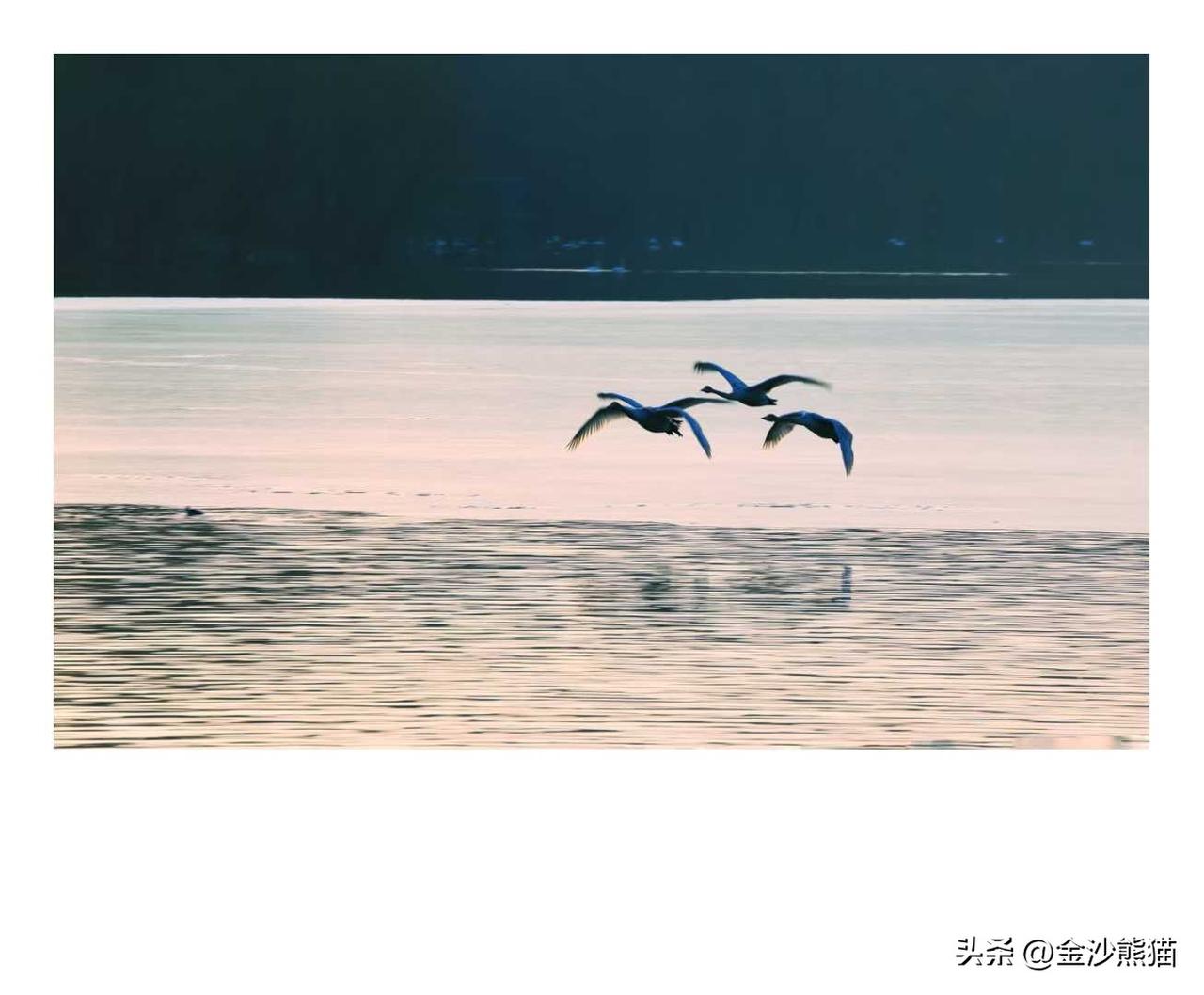 和谐家园
图文：成都市摄影艺术家协会    曹铁