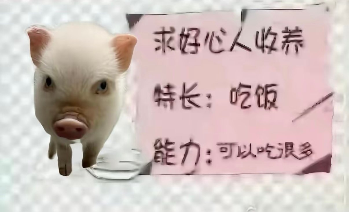 分享图片 