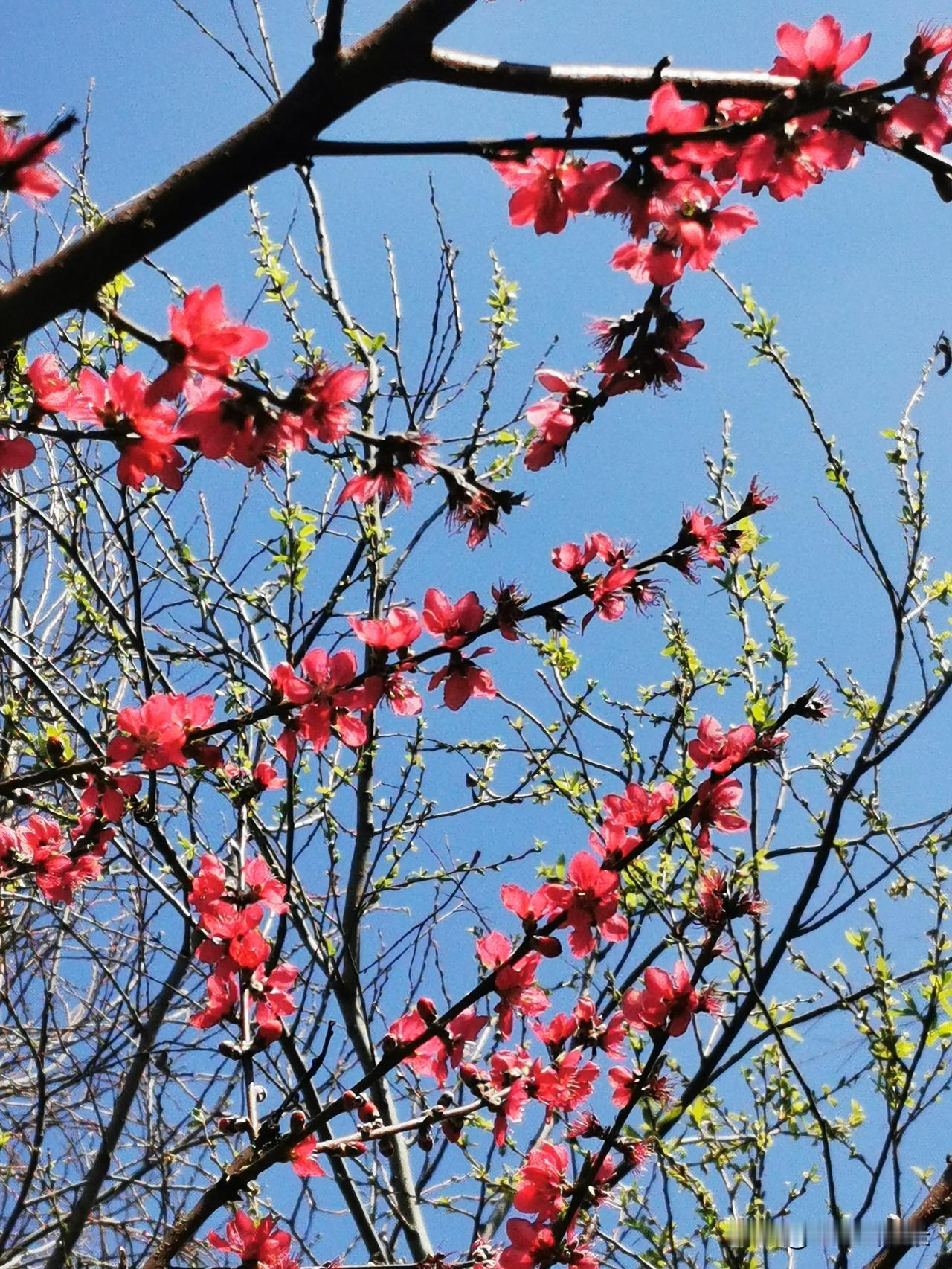 治愈系风景分享