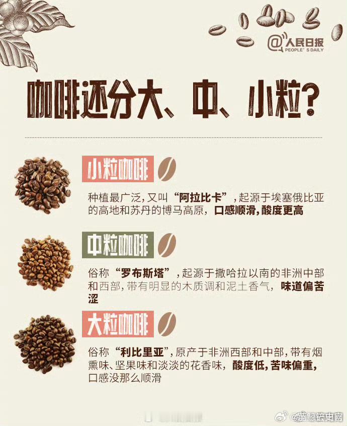 ​中国老板向外国大佬安利云南咖啡【中国咖啡98%来自云南】云南咖啡何以代表中国？