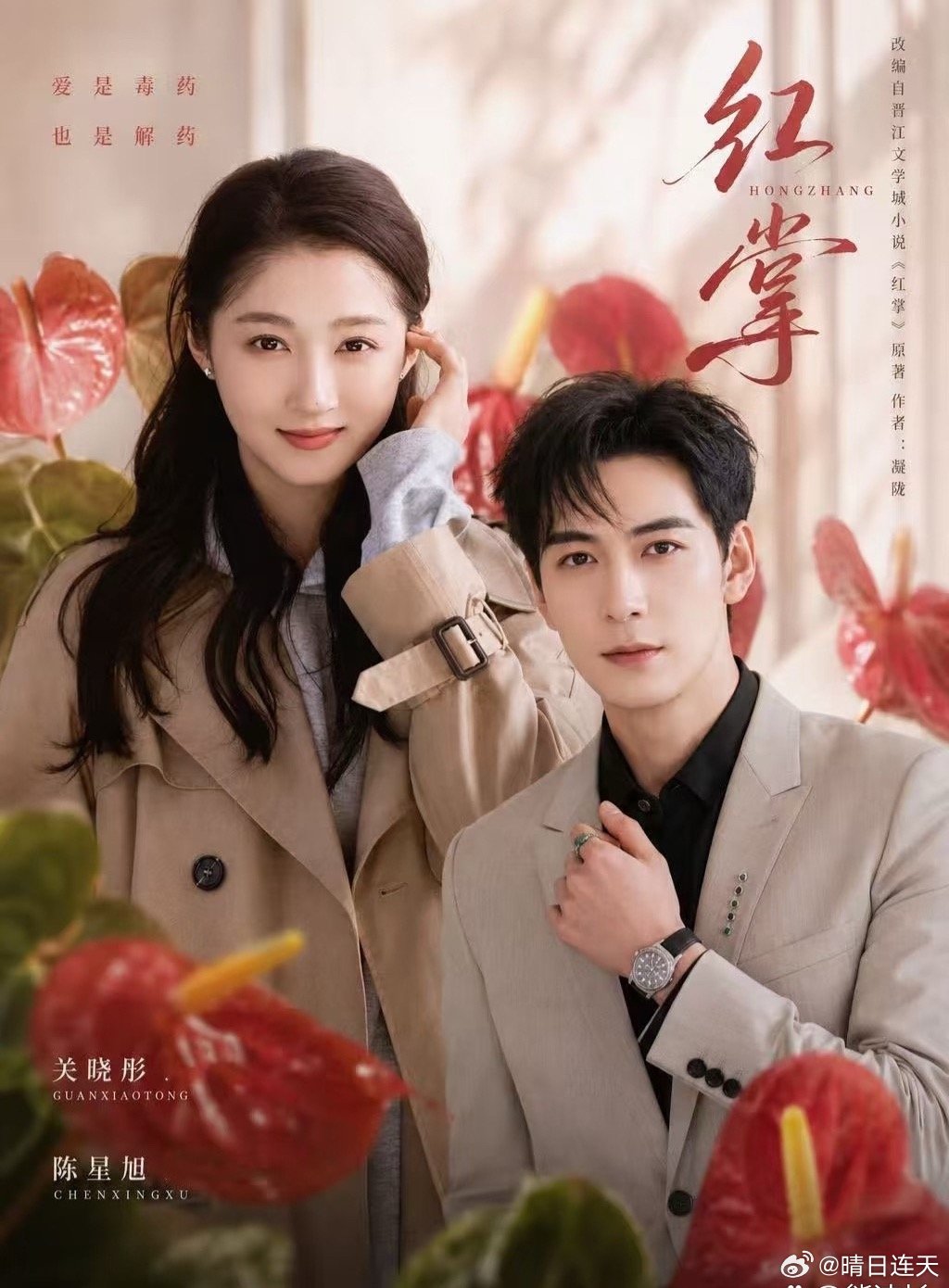 《红掌》即将开机! 关晓彤 搭档 陈星旭 在导演黄天仁的镜头下，这段成年人之间的