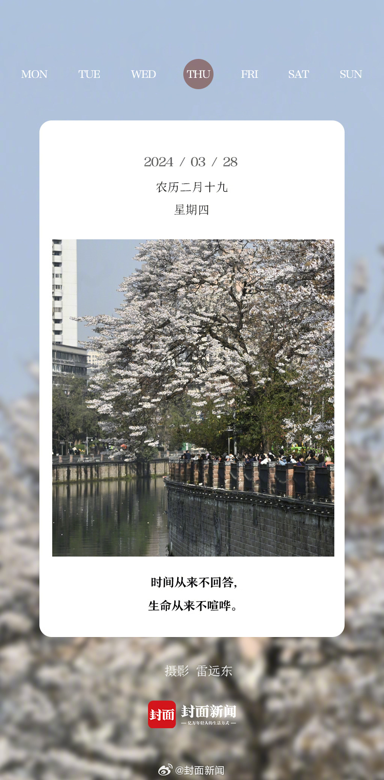 #小封日历#早上好！周四啦，今天叫醒你的是_______？ ​​​