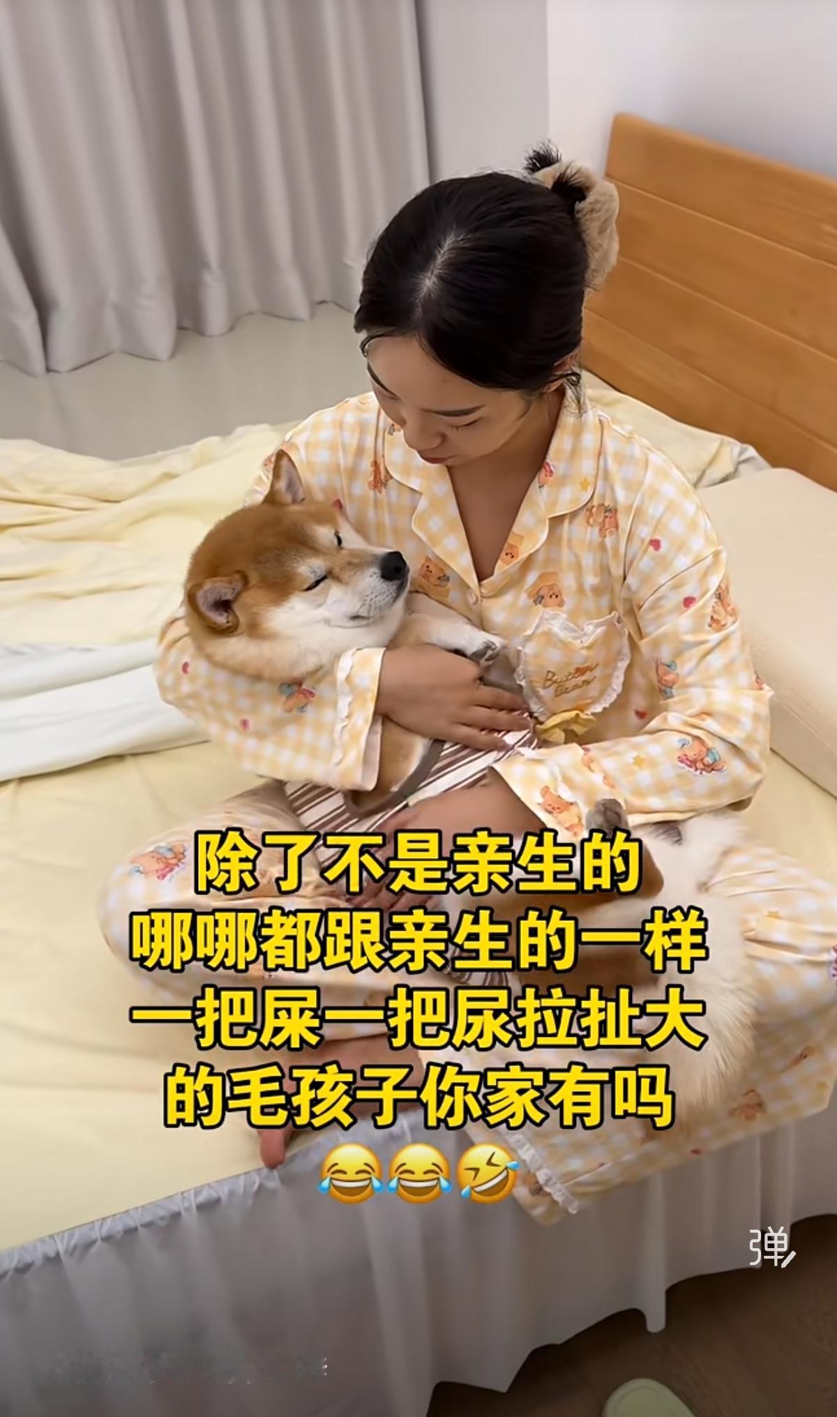 怪！怪！怪！真奇怪，30岁的女人不结婚、不生崽，原来如此，我总算是明白了！实际上