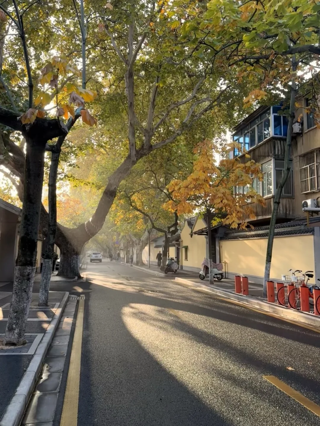没什么可说的，这才是现在真实的颐和路……