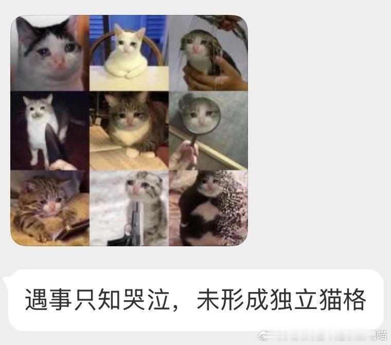 【非】没有猫是为了解决问题才哭的！ 
