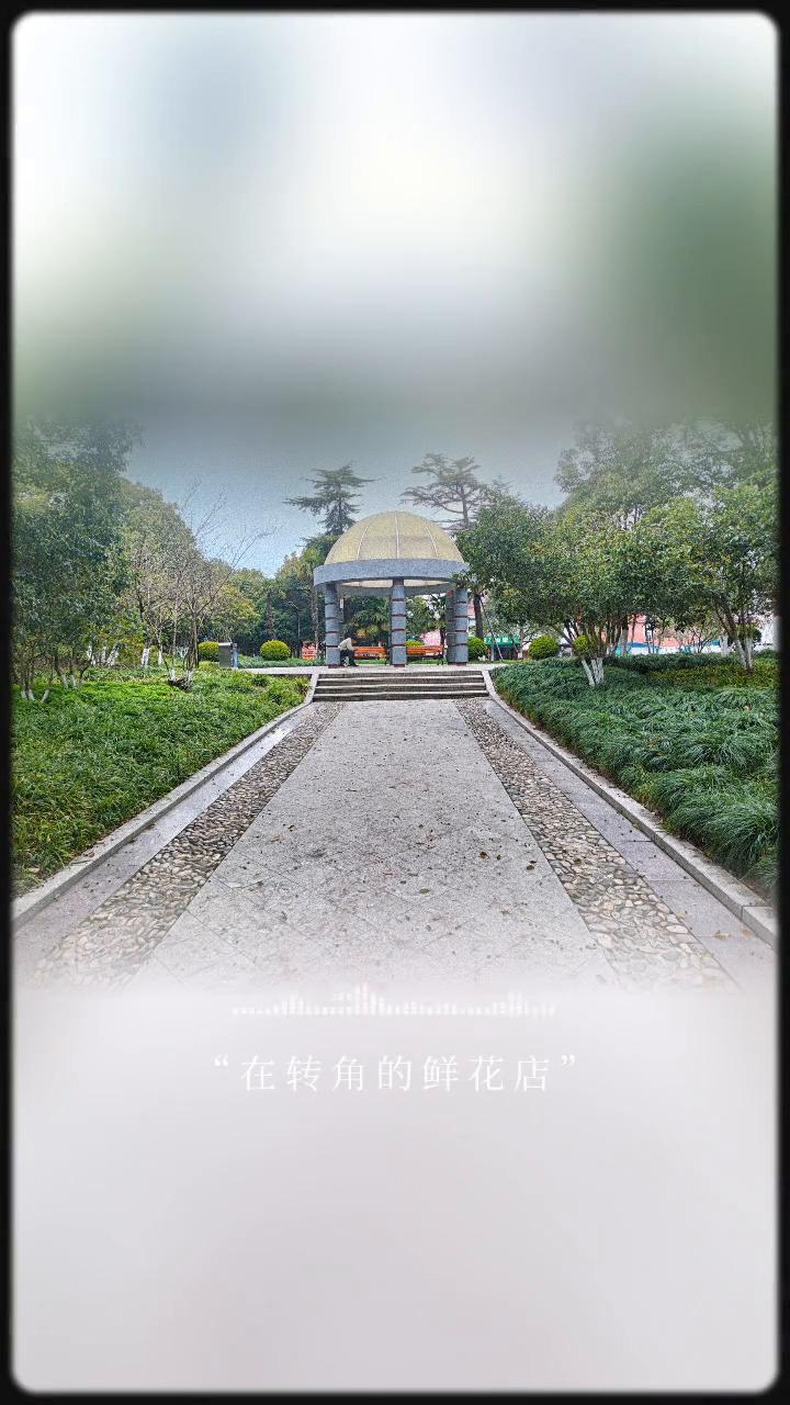 春日漫步随拍。
在春日的某个早晨，在转角的鲜花店，春天那么美好，错过就可惜啦。
