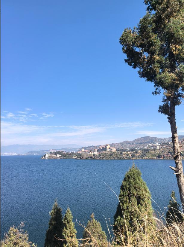 不给特朗普留半点情面！伊朗谈判点名万斯，库什纳来了也不好使

特朗普的谈判套路，