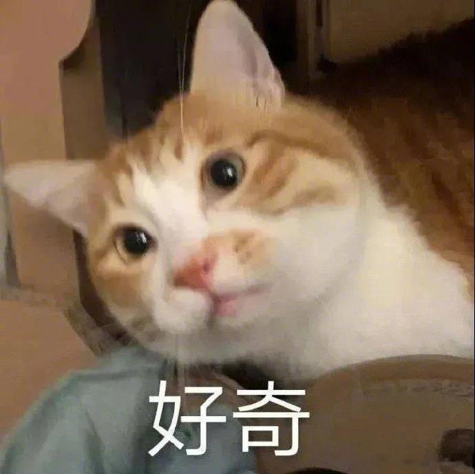 520科技圈集体示爱理性思维也能迸发浪漫火花，520科技圈集体示爱，用专业守护美