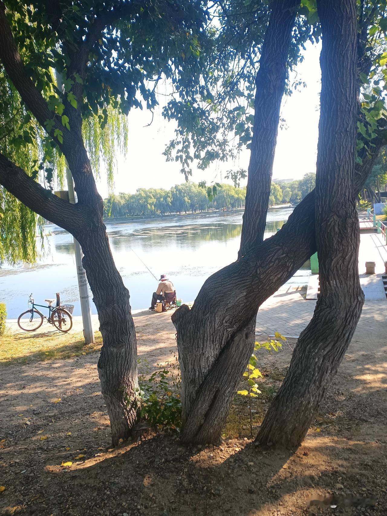 秋日生活打卡
河边钓鱼🎣
沈阳一景
一家四口桑树
知道在哪吗