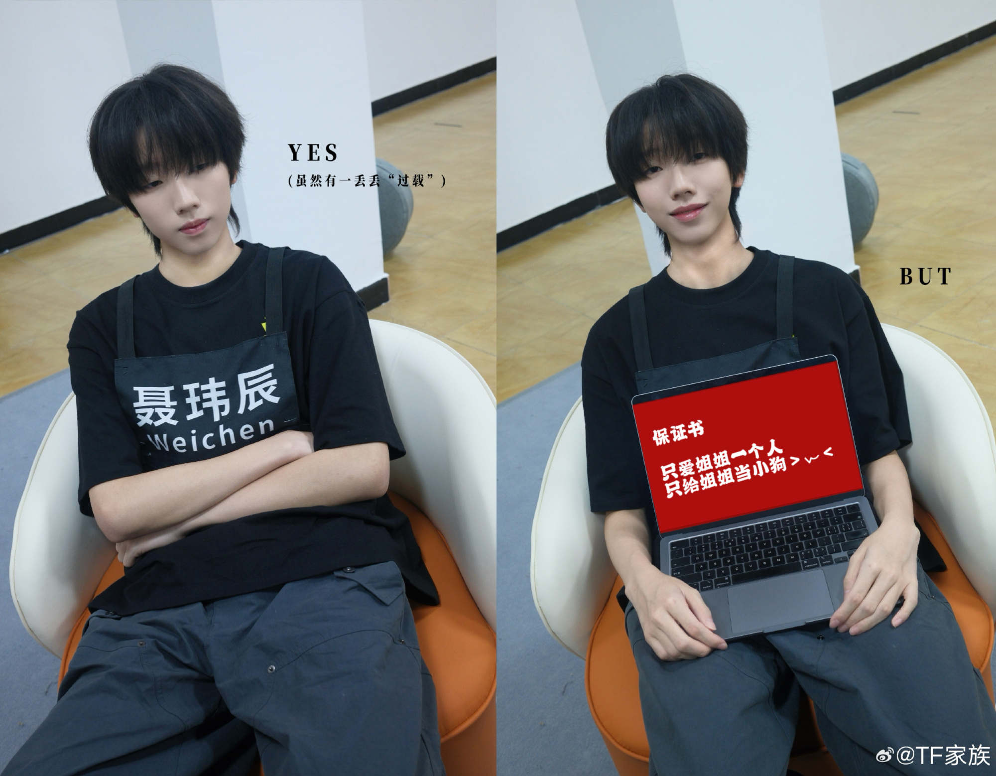 家有乖狗
