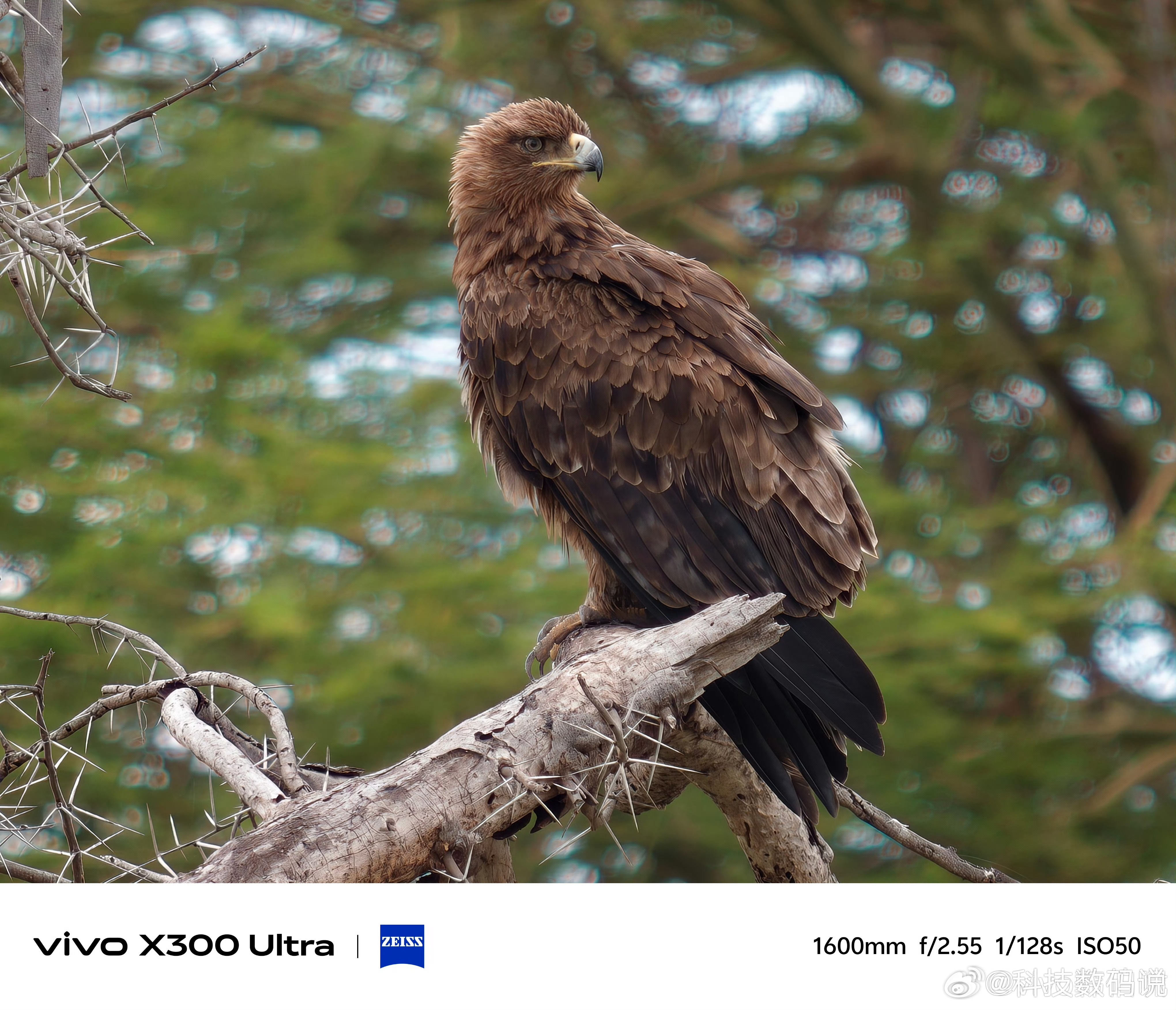 vivo把增距镜玩成了全民叫好，用过的都知道拍演唱会、球赛有多好用。因此vivo