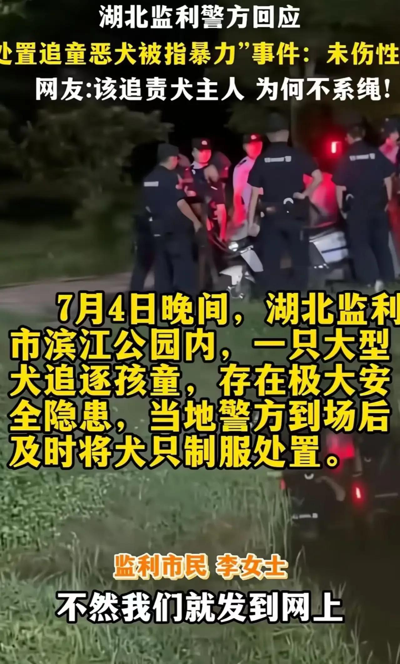 “圣母心”泛滥成灾？爱狗女士竟因民警围捕无绳狗，威胁要发视频曝光警方！这究竟是怎