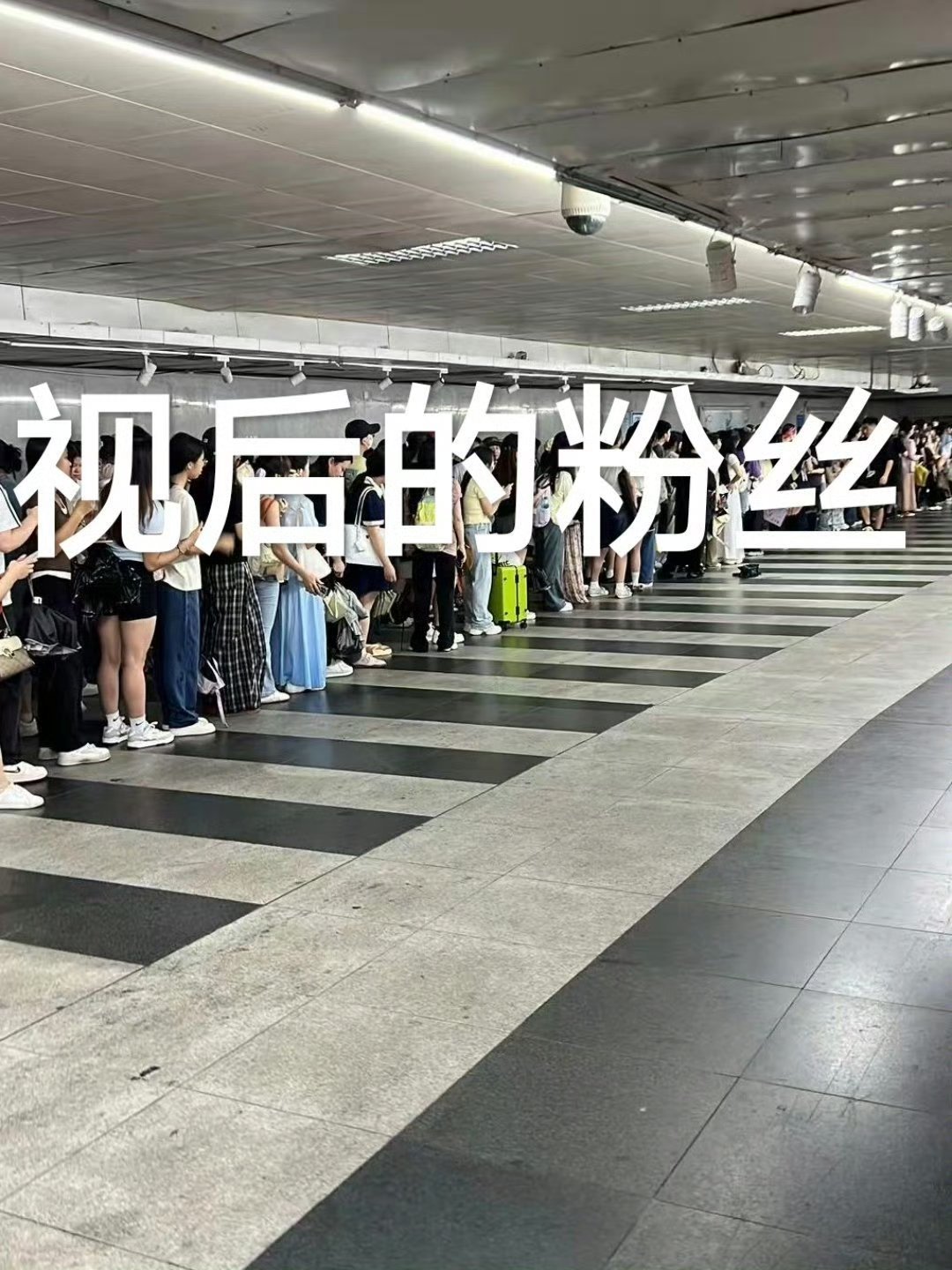 广寒宫今天终于迎来了杨紫，广州紫米你们好样的，白玉兰视后粉丝优秀~ 