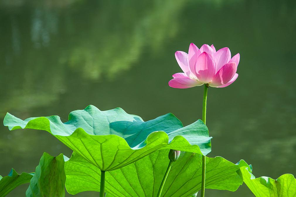 我希望未来的教育是这个样子，无论是哪一个学段的孩子，都不要把作业带回家去做，这是