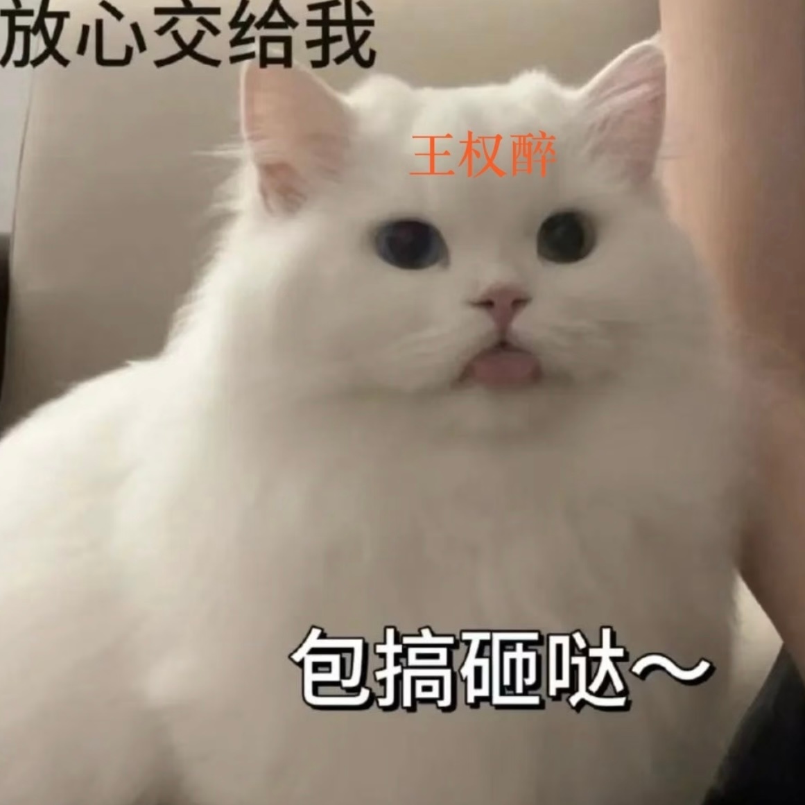 情侣想改名惹怒老父亲 有一说一……真就挺离谱的呀！但是这是什么神仙妈妈，这就同意