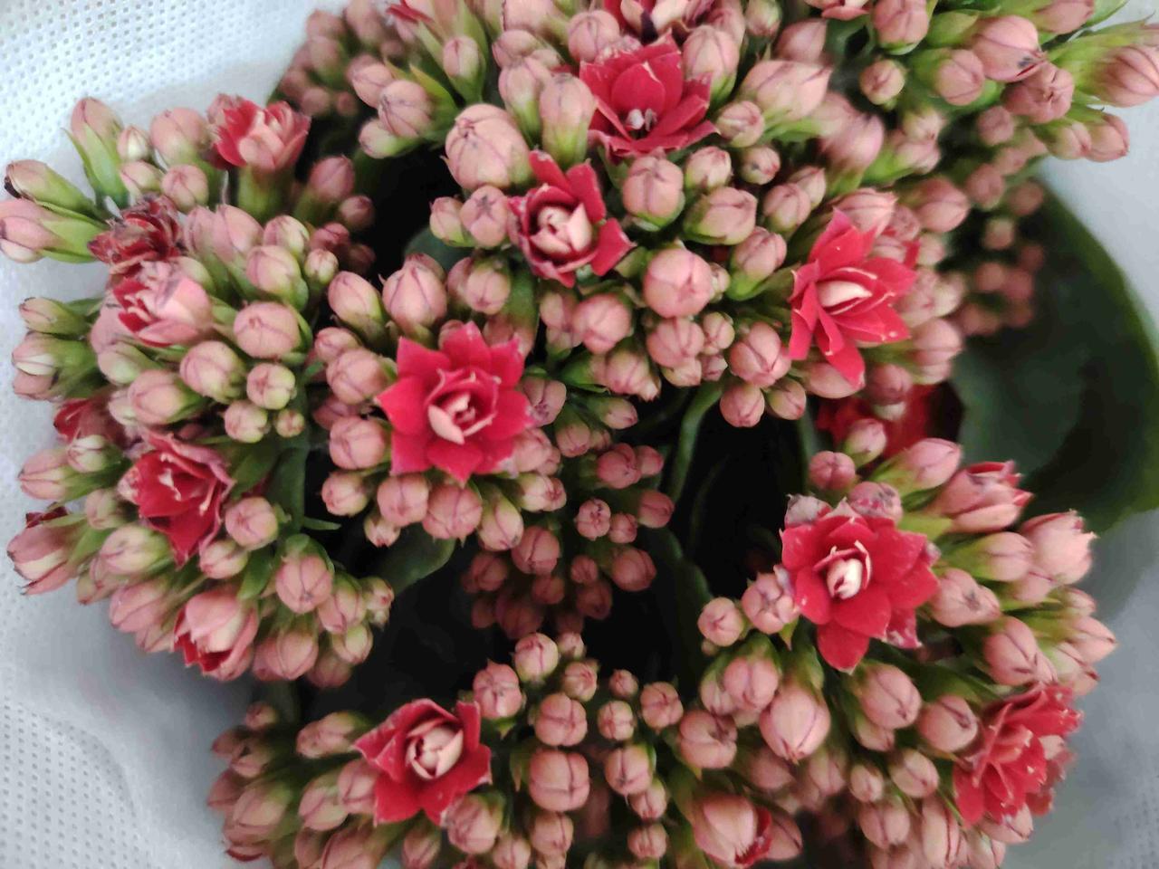 我的今日状态：😁轻松愉快
我这里的天气：🌤️多云