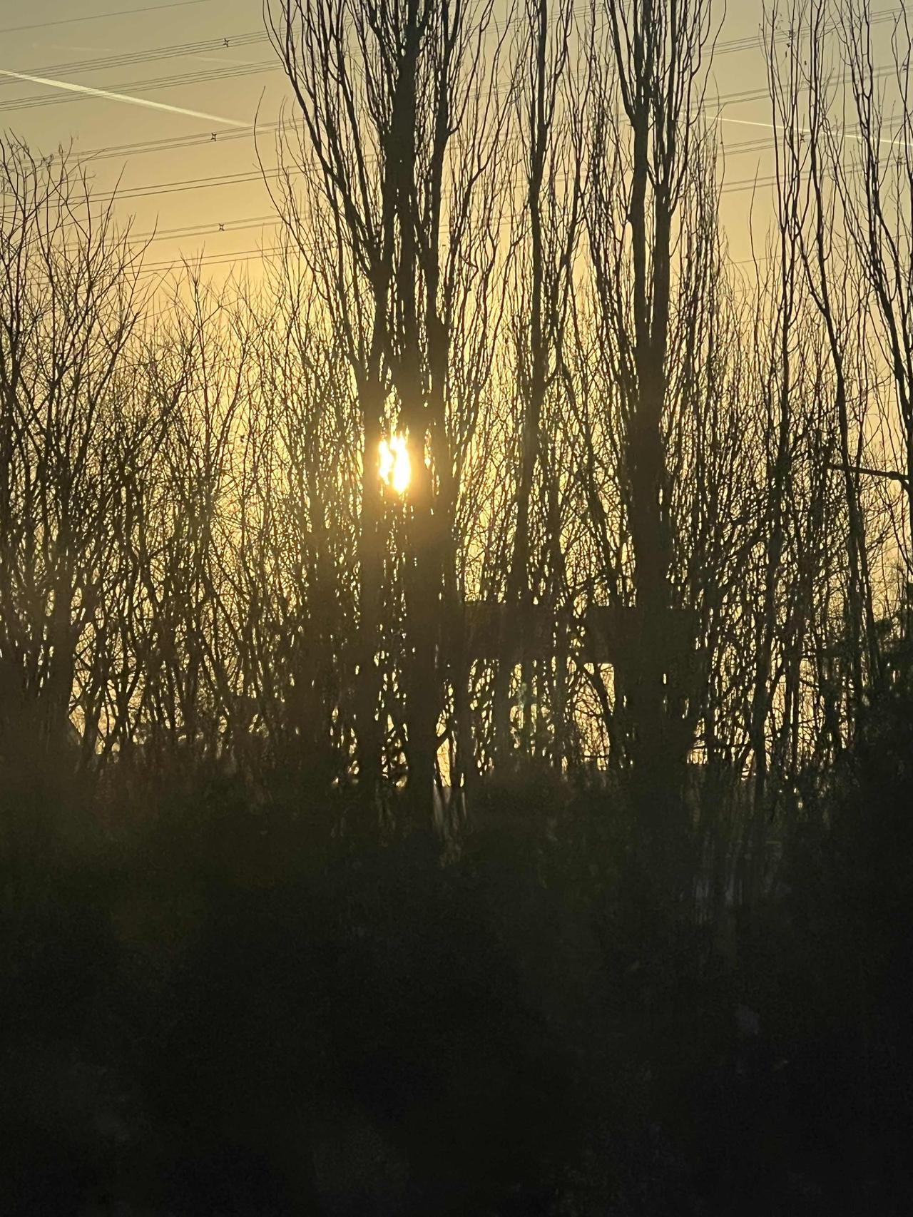 地平线，会是特斯拉和华为收费智驾的斩杀线吗