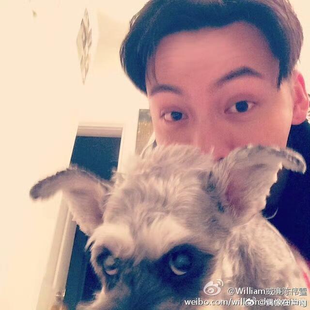 陈伟霆官宣TMEA盛典 年度音乐盛典官宣陈伟霆，深耕唱跳多年初心不改，这次定会带