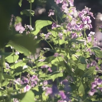 忙时尽兴，闲时有趣，愿你做一个满载能量的人，在每一个晴朗的日子里，用热爱的方式取