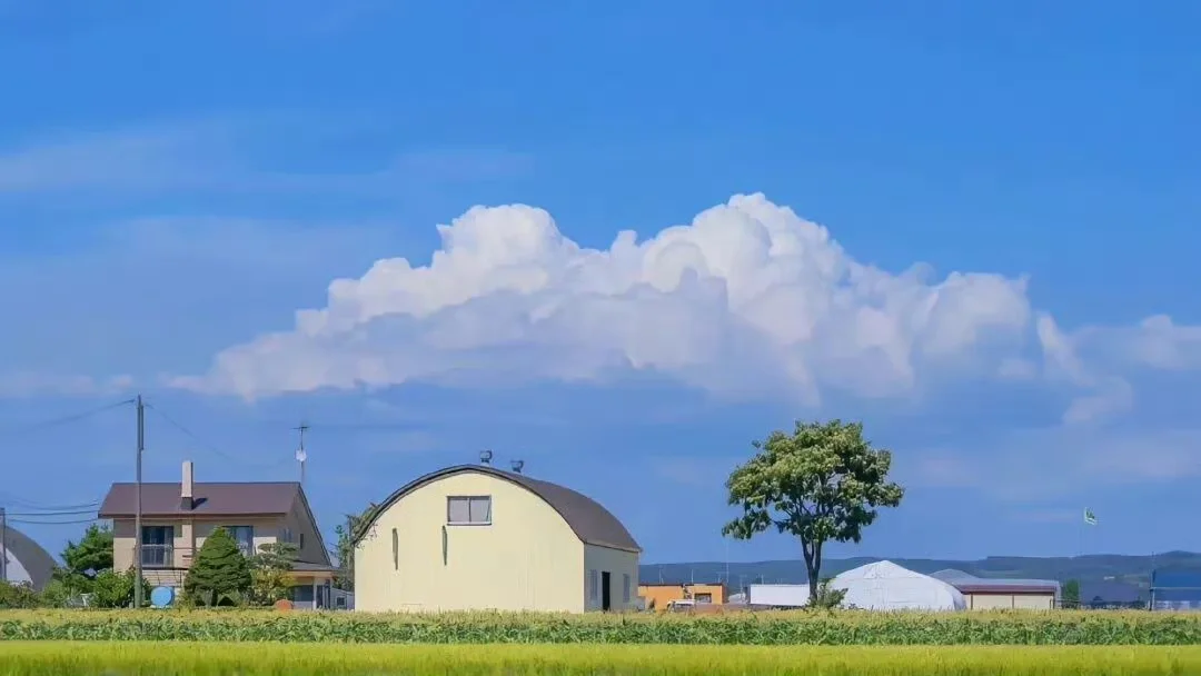 财务年底结账，年底哪些工作要做