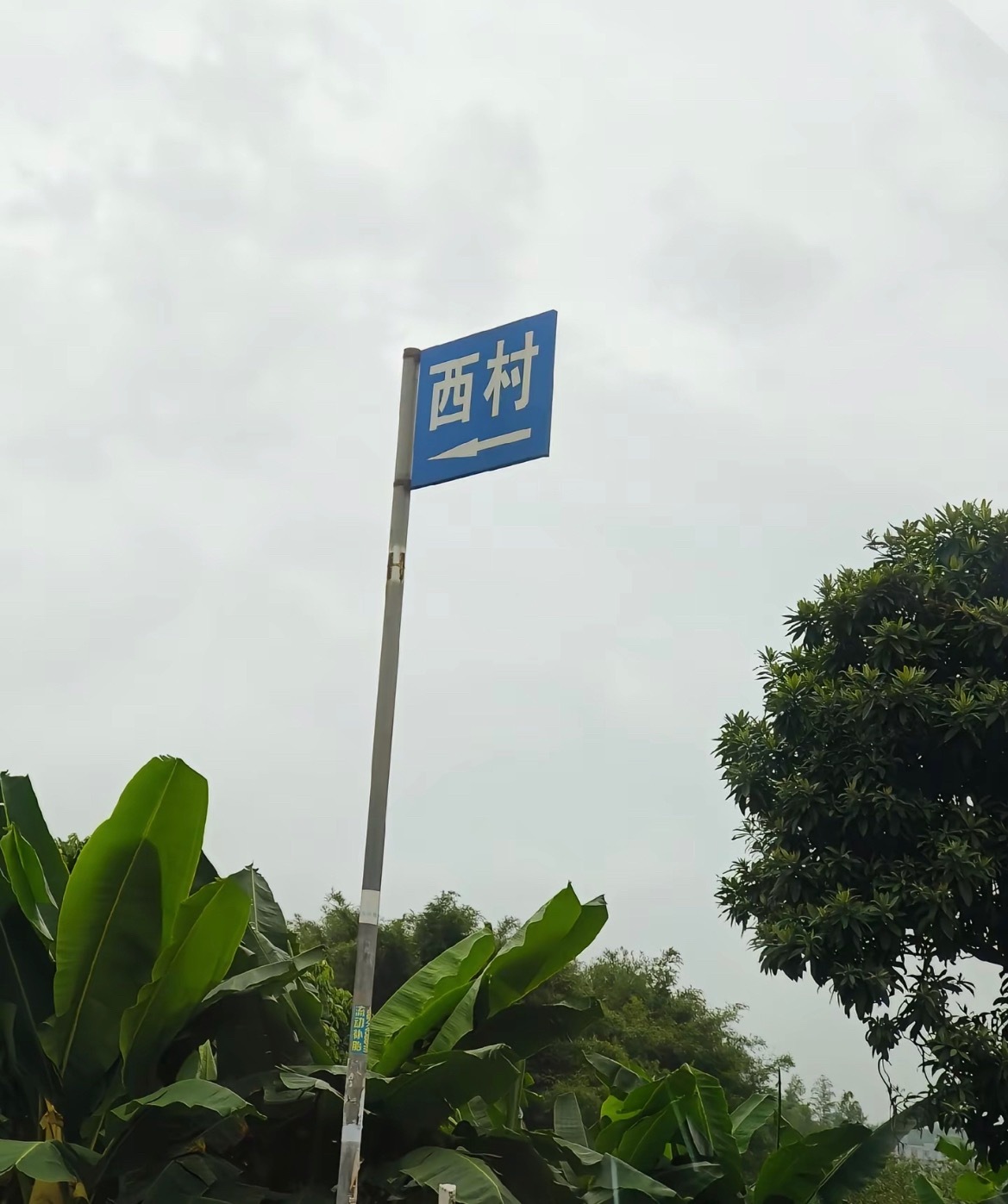 寻味贵港贵港平南西村猪脚粉贵港美食 广西贵港平南西村猪脚粉，几十年的老味道！ 