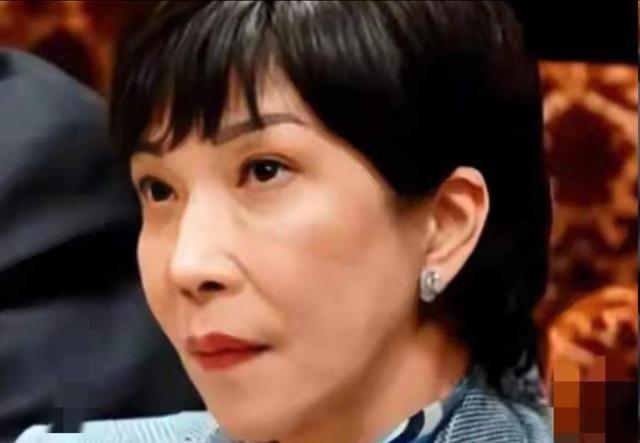 太突然了！日本内阁正式官宣：8月8日起，对中国、韩国热镀锌钢材加征最高55.3%