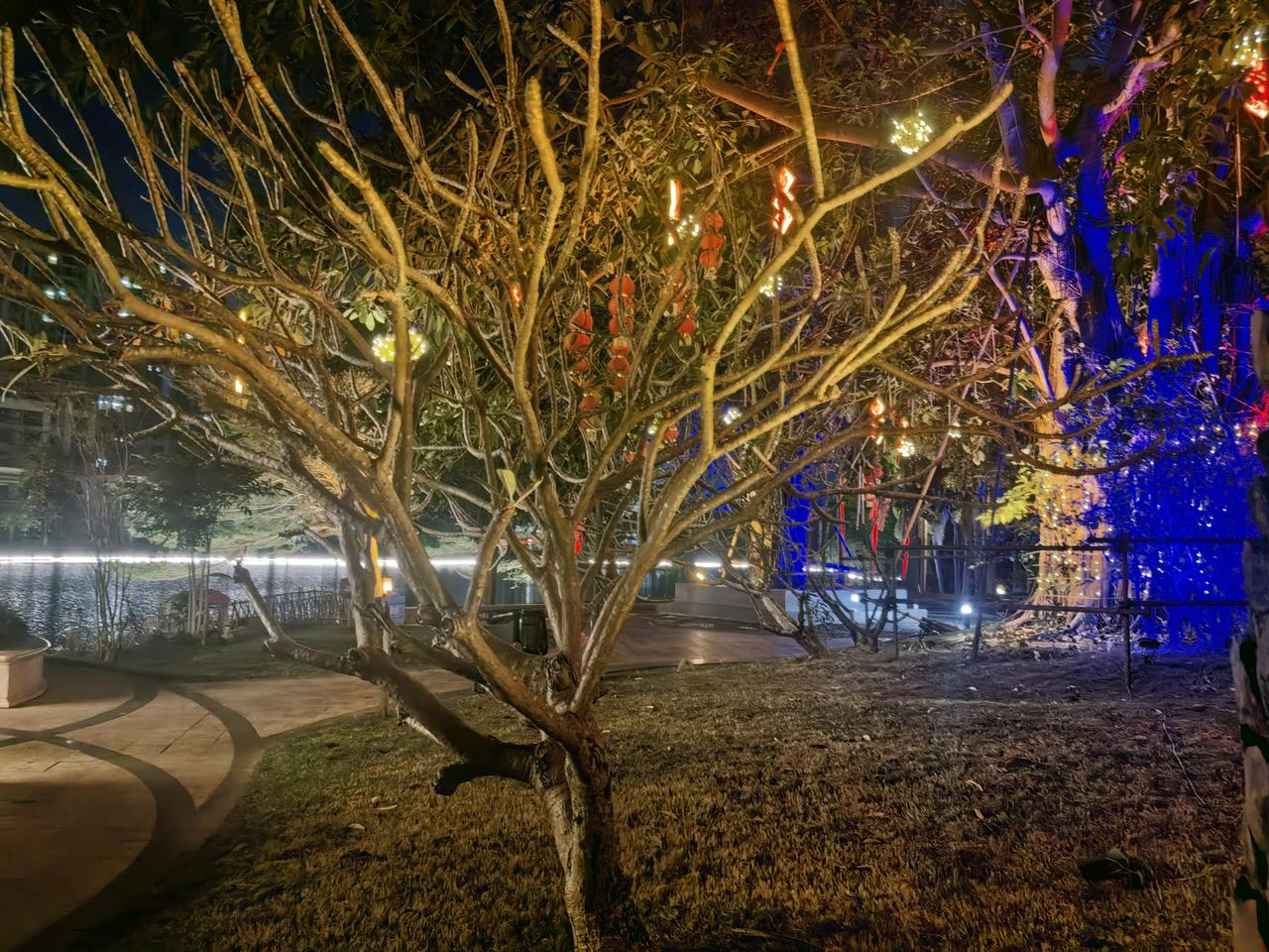 给2026的自己写句话加油，健康快乐每一天，运动不能少。