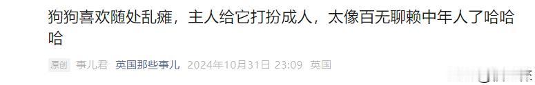 这才是真正的宠物博主。
