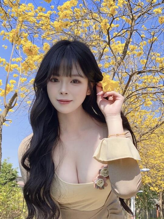 ✿ 𝗦𝗽𝗿𝗶𝗻𝗴 𓂃🌼独属于黄风铃木的浪漫