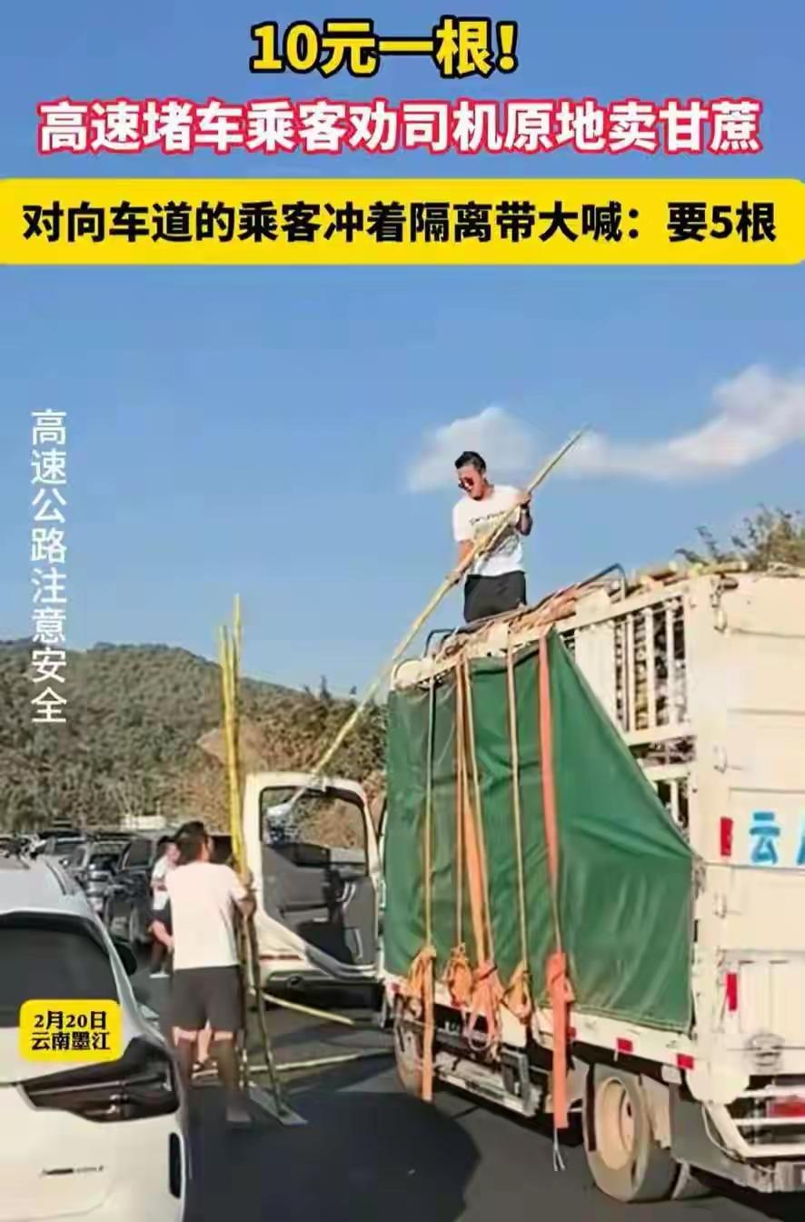 万万没想到！故事发生在云南的一个阳光明媚的早晨，一位男子拉着一车甘蔗，信心满满地