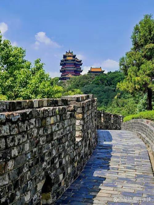 玩法合伙人计划 情绪音乐玩法新风向 上热门 粉丝 二创激励计划