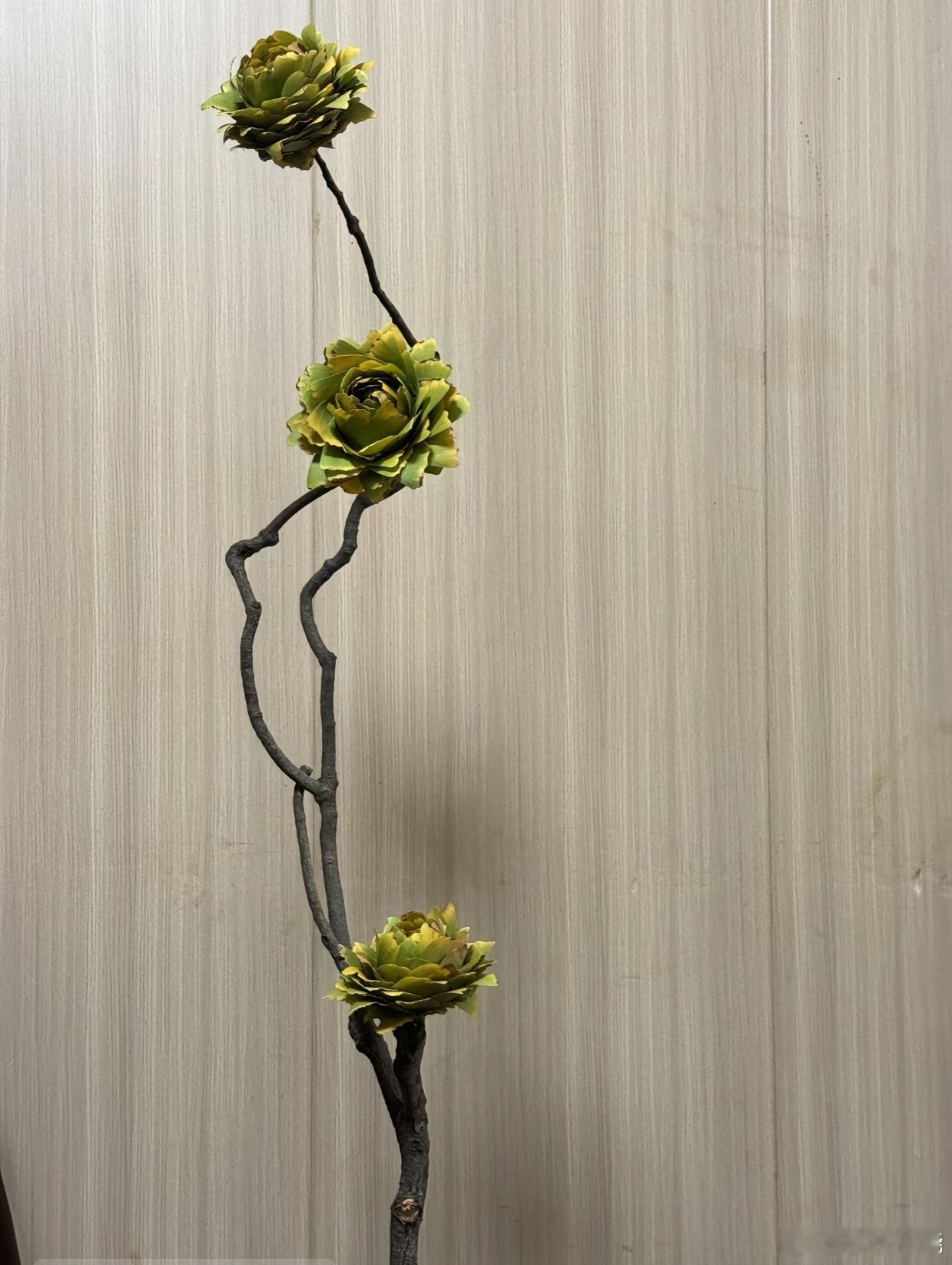 看了有没有想马上出去捡银杏叶 