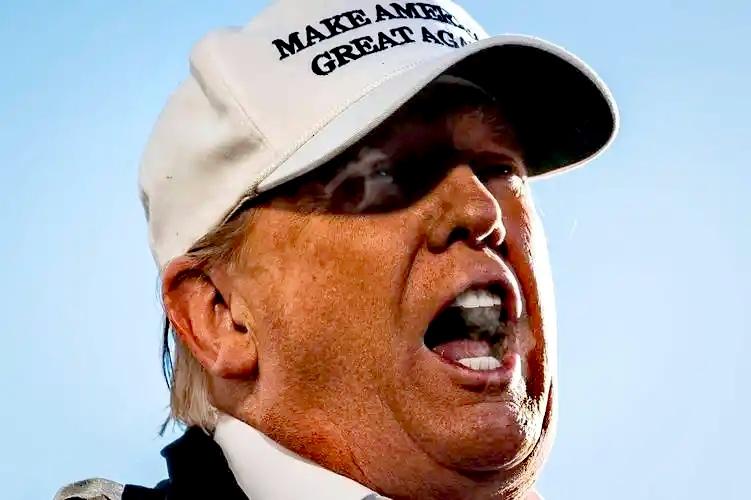 美国若想在国土面积等方面真正成为世界第一，除了拿下格陵兰岛，还有……

美国总统