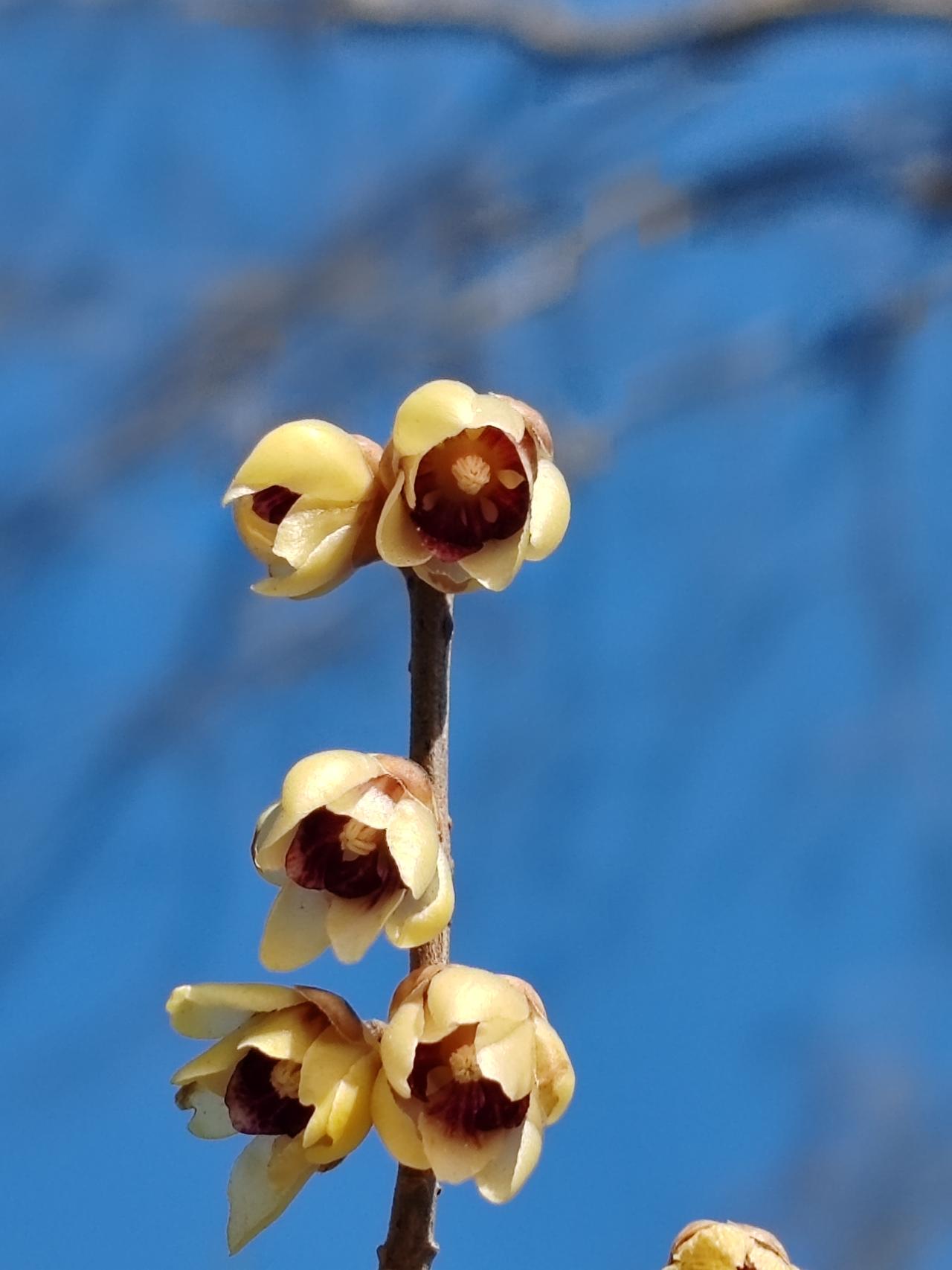 晒图笔记大赛把美献给初春。