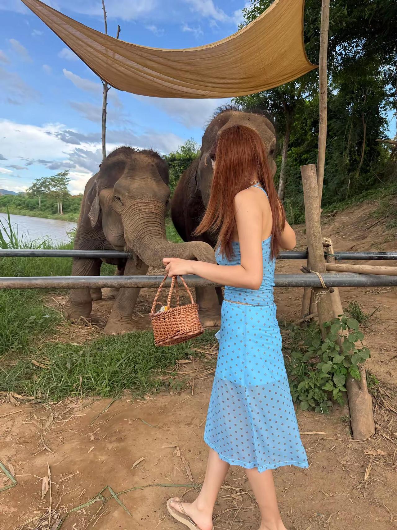🇹🇭清迈13套穿搭。
