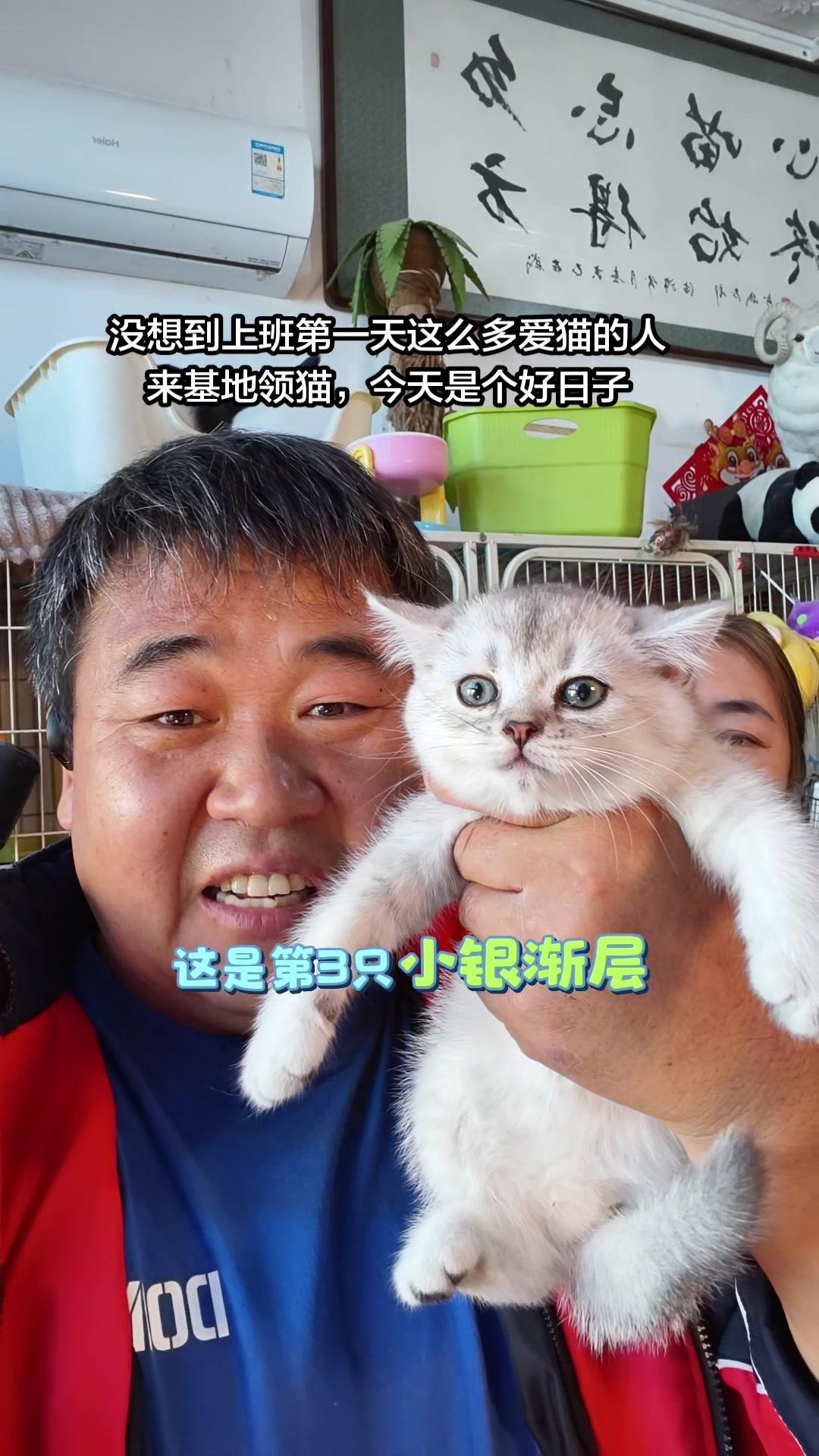 🐱真的完全没想到，上班第一天基地的毛孩子就迎来了超级多好心人。
1️⃣今天一共