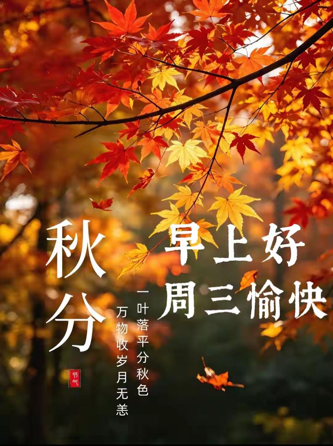 昼夜平分，秋色平分🍂
今日秋分，一半清风明月，一半人间温柔。
 
夏尽秋来，万