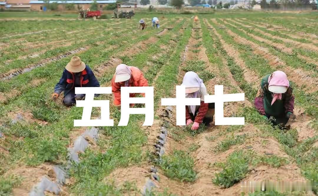 不是迷信，今日五月十七，最不能做的4件事，别忘告诉家人！
 
农历五月十七，老黄