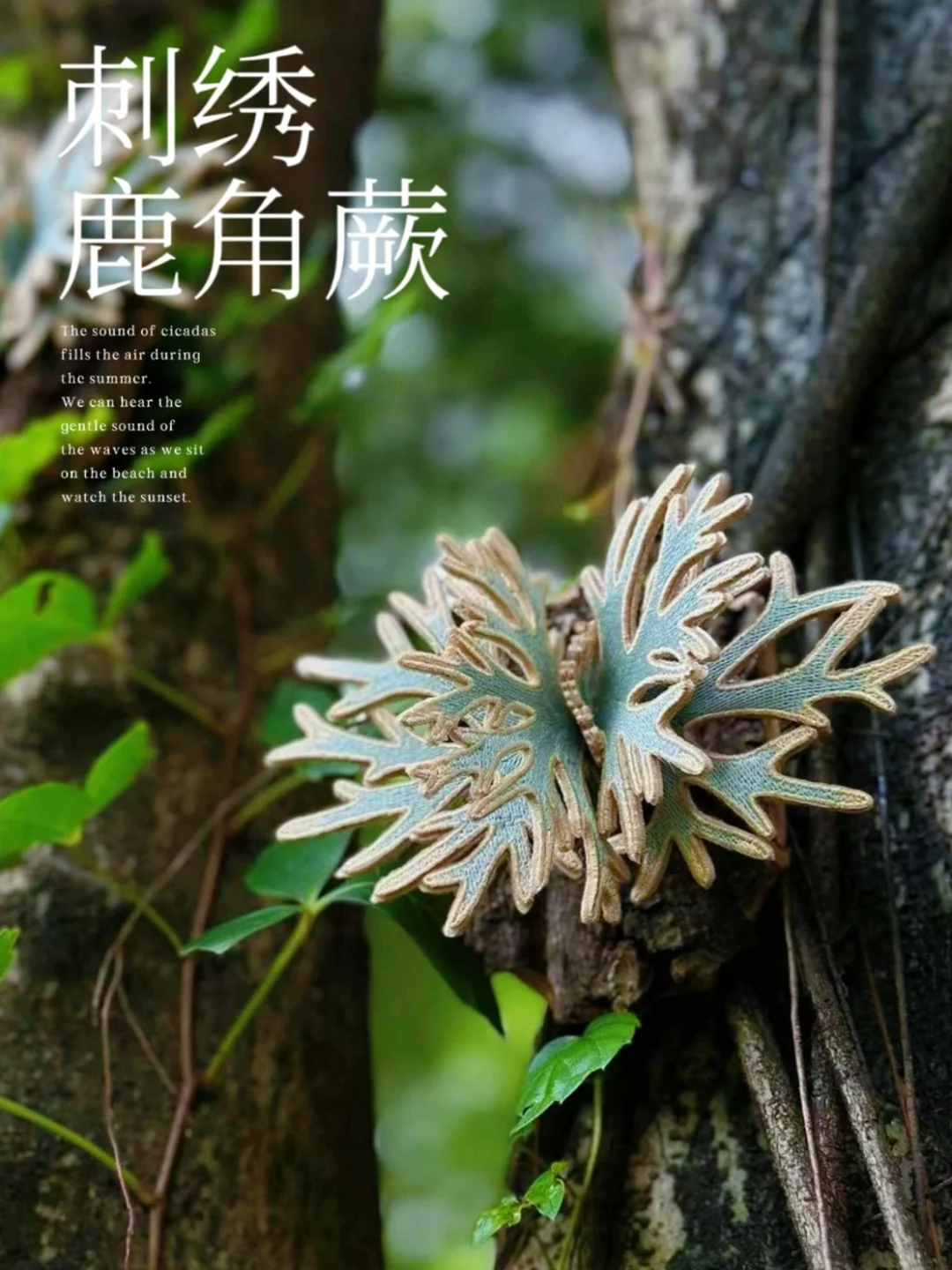 鹿角蕨刺绣冰箱贴驾到