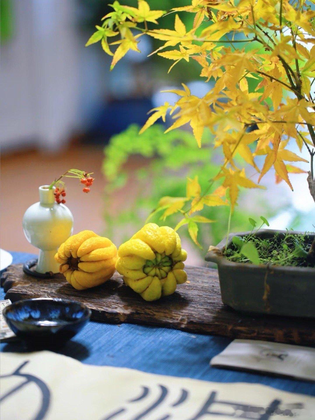 天总会亮，错过落日余晖，请记得还有漫天星辰。生活自有生生不息的风景，途经的四季，