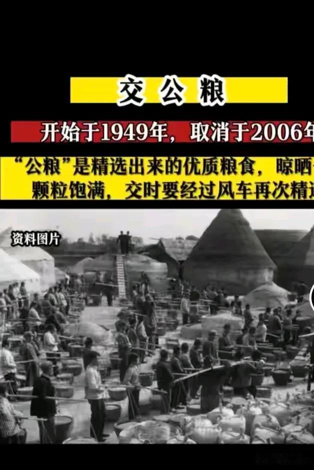 那我买公粮的也应视同社保吧？
交了公粮没人买也没用啊！