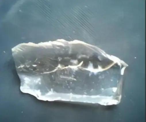 1930年，新疆一位牧民在放羊时，发现羊群突然避开了一片草地，他走近一看，草地上