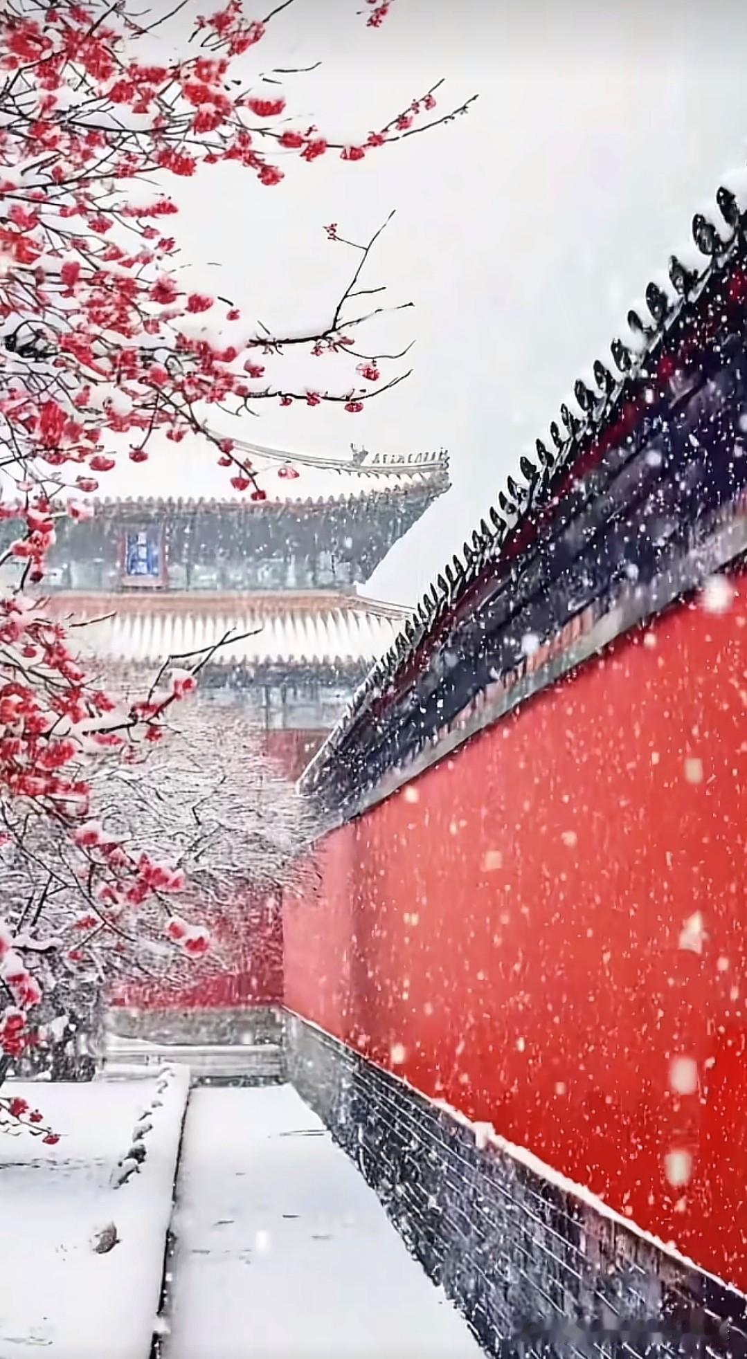 我一直以为故宫对北京的旅游收入有巨大贡献，没想到故宫的总收入远少于自身的维护和运