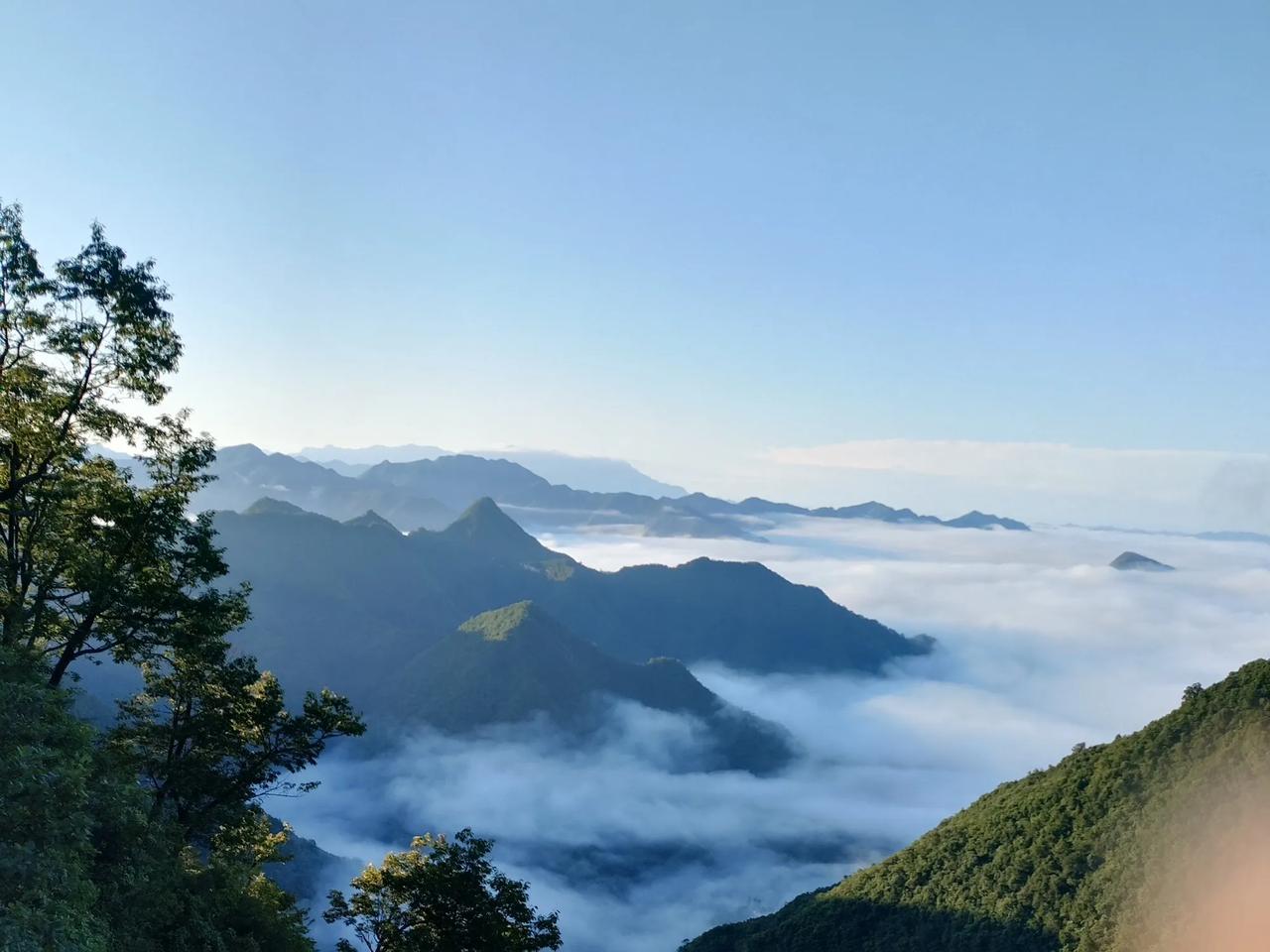#发一张图证明你来过秦岭#这是我见过的最美云海，拍这张照片时整座大山里就我一个游