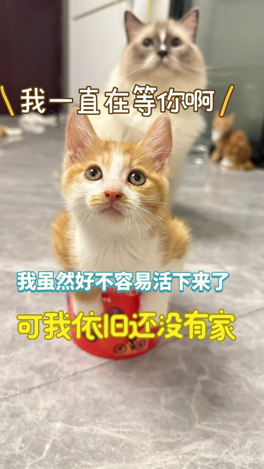 幸运被救下 又不幸吃上大锅饭