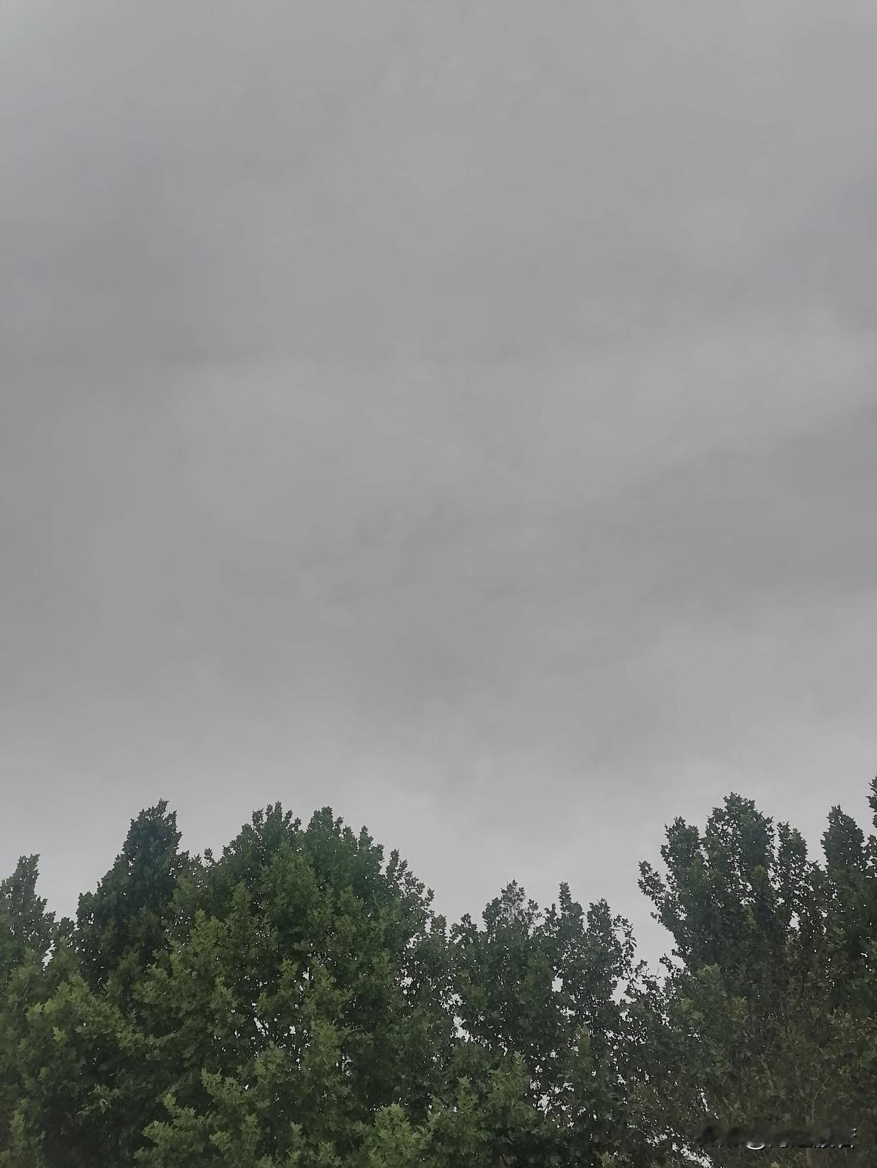 8月28日北京天气，早晨至白天阴有阵雨转多云，最高气温24℃；
夜间多云转晴，南