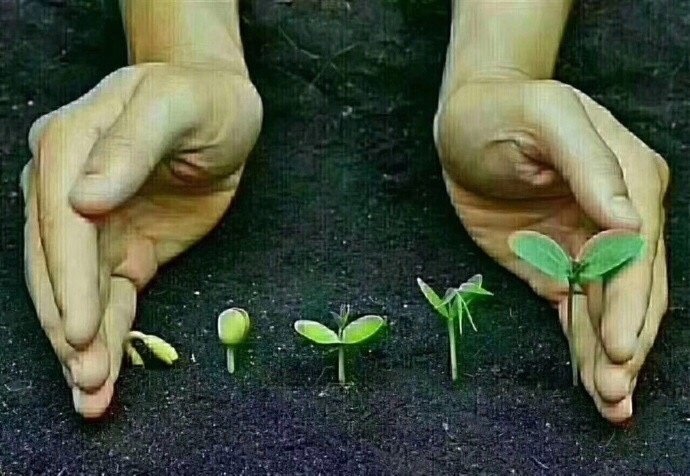无论做什么事，都不要急于求成，因为播种和收获不在一个季节中间的这段时间叫做坚持 