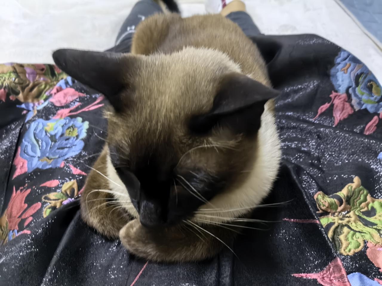 岁岁平平安安，
月月开开心心，
日日健健康康。